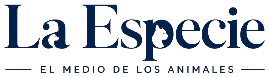 La Especie - El Medio de los Animales